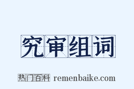 究审组词是什么意思的图片